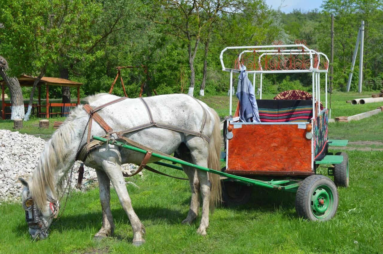 Отель Casa rurală 